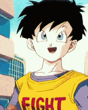 videl.jpg